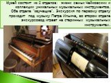Музей состоит из 2 отделов: жизни семьи Чайковских и коллекции уникальных музыкальных инструментов. Оба отдела "звучащие". Экскурсия по первому отделу проходит под музыку Петра Ильича, во втором отделе экскурсовод играет на старинных музыкальных инструментах.