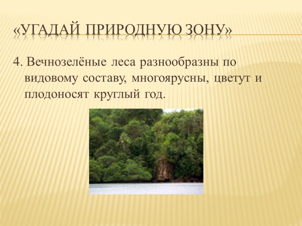 Особенности природы 7 класс. Угадай природную зону по описанию.. Отгадай природную зону по описанию. Природные зоны по описанию. Вечнозелёные разнообразные по видовому составу многоярусные леса.