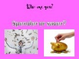Who are you? Spender or saver?
