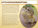 Appearance(Внешний вид). This is a typical small animal squirrel shape, with an elongated slender body and bushy tail with "scratching". Its body length 19,5-28 cm, tail - 13-19 cm, weight 250-340 g.Golova round, with big black eyes. The ears are long, with brushes, especially pronounced i