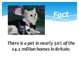 Fact File. There is a pet in nearly 50% of the 24.2 million homes in Britain.