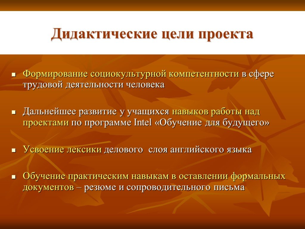 Дидактические цели задач. Дидактические и методические цели проекта. Дидактические цели урока по ФГОС. Дидактическая цель это. Цели методического проекта.