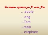 Вставь артикль А или Аn. … apple …dog …Tom …map … elephant