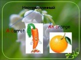 An orange Неопределенный A carrot