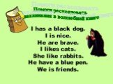 Помоги расколдовать заклинания в волшебной книге. I has a black dog. I is nice. He are brave. I likes cats. She like rabbits. He have a blue pen. We is friends.