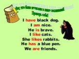 Вот, что было написано в книге заклинаний. Проверь себя! I have black dog. I am nice. He is brave. I like cats. She likes rabbits. He has a blue pen. We are friends.
