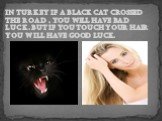 In Turkey if a black cat crossed the road , you will have bad luck. But if you touch your hair you will have good luck.
