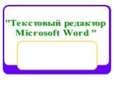 "Текстовый редактор Microsoft Word "