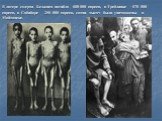 В лагере смерти Белжнец погибло 600 000 евреев, в Треблинке - 870 000 евреев, в Собиборе – 250 000 евреев, сотни тысяч были уничтожены в Майданеке.