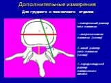 Для грудного и поясничного отделов. 1. поперечный размер тела позвонка. 2. ширина ножки позвонка (слева). 3. косой размер тела позвонка (слева). 4. переднезадний размер позвоночного канала. 4