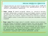 виды вируса гриппа. Вирус гриппа А самый коварный, именно он, постоянно меняясь, вызывает заболевание в средней или сильной форме тяжести, поражая как человека, так и многих животных. Вирус видоспецифичен: то есть как правило, вирус птиц не может поражать свинью или человека, и наоборот. Именно виру