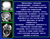 Врожденные аномалии (мальформации) головного мозга представляют собой анатомический дефект или повреждение морфологического развития мозга. Мальформации возникают вследствие хромосомных нарушений или формируются под воздействием вредных факторов во время эмбриогенеза (радиация, кокаиновая зависимост
