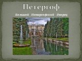 Большой Петергофский дворец. Петергоф