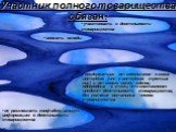 Участник полного товарищества обязан: участвовать в деятельности товарищества. вносить вклады. не разглашать конфиденциальную информацию о деятельности товарищества. воздержаться от совершения в своих интересах (или в интересах третьих лиц) и от своего имени сделок, однородных с теми, что составляют