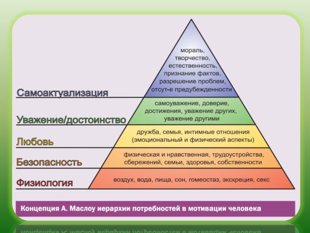 С точки зрения управления проектами организации мотив это