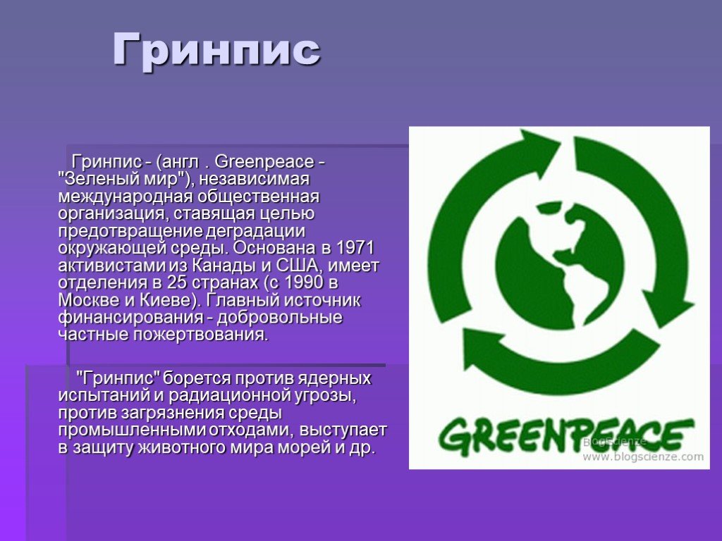 Экологическая организация 4 класс. Грин писсс. Работа международных экологических организаций в России. Greenpeace Международная организация. Информация о экологической организации Greenpeace.
