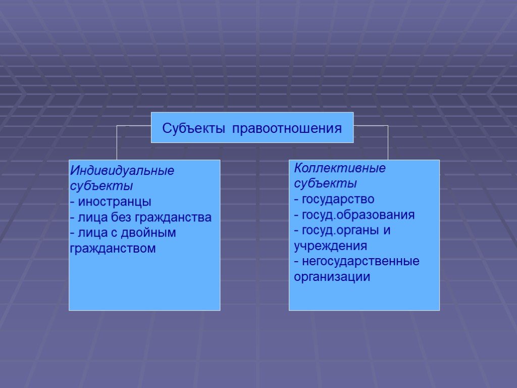 Индивидуальные субъекты. Индивидуальные и коллективные субъекты. Индивидуальные и коллективные субъекты правоотношений. Индивидуальные субъекты фото. Коллективная натурализация.