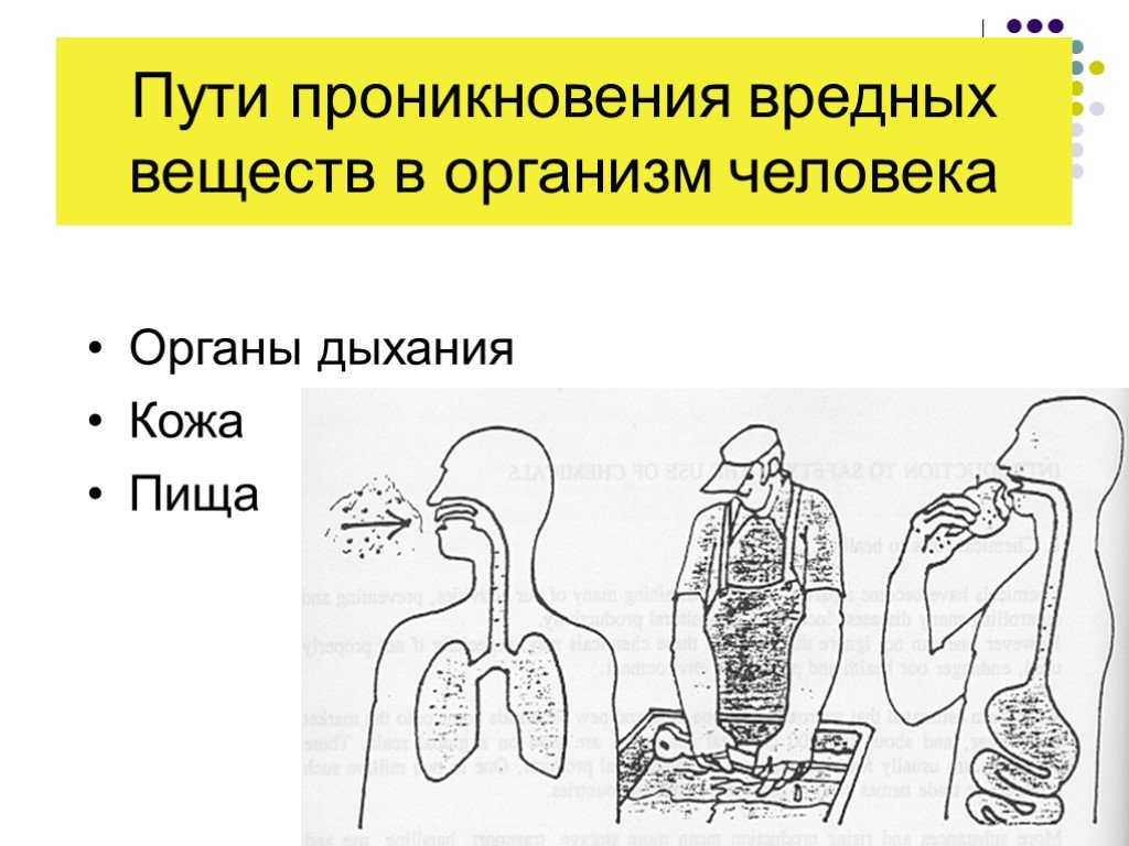 Пути проникновения. Способы попадания вредных веществ в организм человека. Пути проникновения опасных химических веществ в организм человека. Схема попадания вредных веществ в организм человека. Проникновение вредных веществ в организм человека происходит.