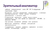 Зрительный анализатор. наиболее информативный канал (80 - 90 % информации об окружающем мире). Восприятие световых раздражений осуществляется с помощью светочувствительных клеток, палочек и колбочек, расположенных в сетчатке глаза. К недостаткам зрительного канала можно отнести ограниченность его по