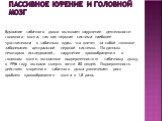 Пассивное курение и головной мозг. Вдыхание табачного дыма вызывает нарушения деятельности головного мозга, так как нервная система наиболее чувствительна к табачным ядам, что влечет за собой тяжелые заболевания центральной нервной системы. По данным некоторых исследований, нарушения кровообращения 