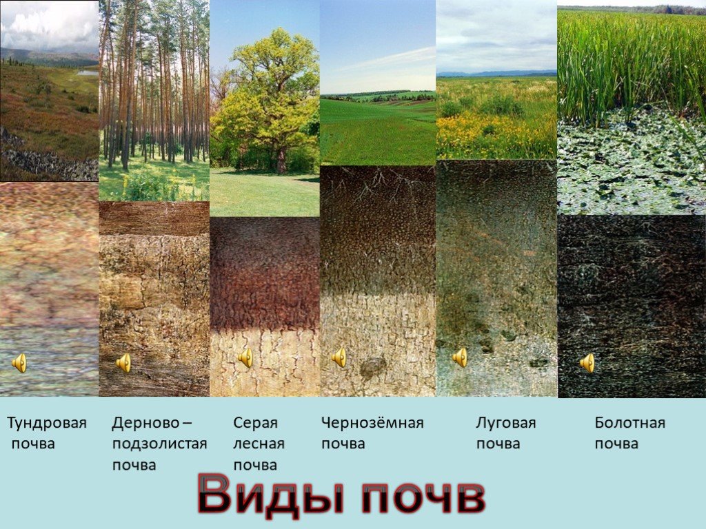 Почвы средней полосы. Типы почв земли в России. Типы почв 3 класс окружающий мир. Почва внешний вид. Почва виды почв.