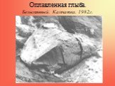 Оплавленная глыба. Безымянный. Камчатка. 1982г.