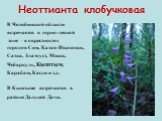 Неоттианта клобучковая. В Челябинской области встречается в горно-лесной зоне – в окрестностях городов Сим, Катав-Ивановск, Сатка, Златоуст, Миасс, Чебаркуль, Кыштым, Карабаш, Касли и т.д. В Кыштыме встречается в районе Дальней Дачи.