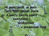 Не рвите цветы, не рвите – Пусть будет красива Земля. А вместо букетов дарите васильковые, незабудковые и ромашковые поля!