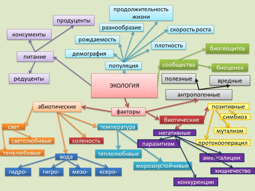 Ментальная схема по биологии