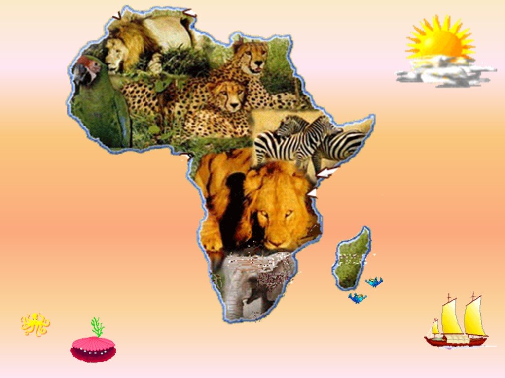 Африки животный география. Африка для детей дошкольного возраста. Материк Африка для дошкольников. Путешествие в Африку для детей. Коллаж путешествие в Африку.