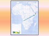 Путешествие по Африке Слайд: 43