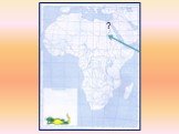 Путешествие по Африке Слайд: 47