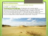 Место проведения: песчаный массив Олешковские пески. 46°35’00” с.ш. 33°03’00” в.д. Особенности места проведения: На территории двух участков массива (Казачьелагерный и Виноградовский, расположенные в восточной части) расположен национальный природный парк «Олешковские пески», созданный в 2010 году. 