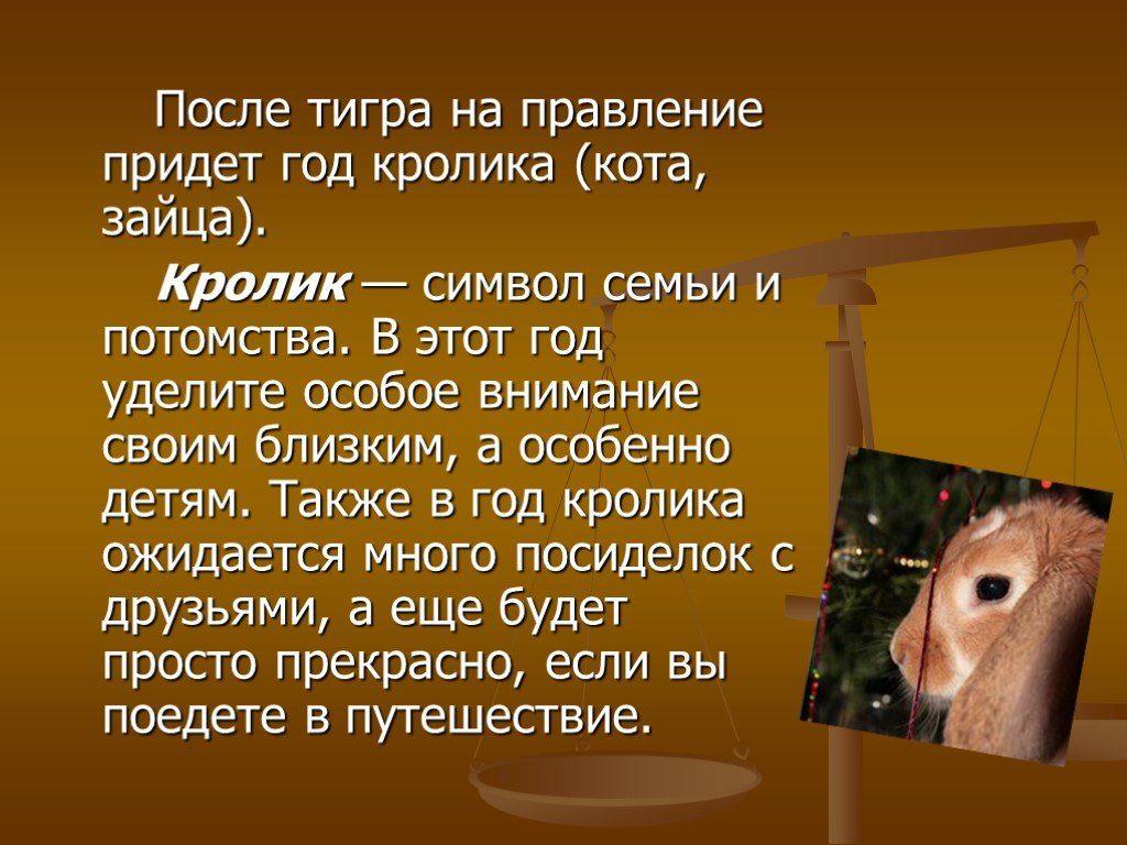 Год кролика какие. 2011 Год какого кролика. Год кота и кролика. Год тигра и год кролика. Год кролика характер.