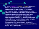 К типу «сырость» (стихия — Земля) относятся бледные, бесцветные, с сальной, плохо снабжаемой кровью кожей. Их отличают одутловатое лицо, усталое выражение глаз, тяжелые движения, угрюмость и депрессивность. Нередко такие люди склонны к гипотонии, нарушению пищеварения, расстройству гормонального бал