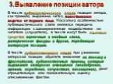 В тексте публицистического стиля позиция автора, как правило, выражена четко, повествование ведется от первого лица. Поскольку особенностью публицистического стиля является передача информации с одновременным воздействием на читателя (слушателя), в тексте могут быть языковые средства: оценочные и вв