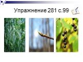 Упражнение 281 с.99