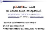 развеваться гл, несов.вида, возвратный. колыхаться, трепетать на ветру, колебаться от ветра, распускаться Волосы развеваются от ветра. Знамя развевается. Новые занавески развевались на ветру.