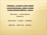 Назовите, в какой строке имена существительные имеют форму только множественного числа. Васильки, колокольчики, ромашки. Кроссовки, туфли, сандалии. Джинсы, рейтузы, шорты.