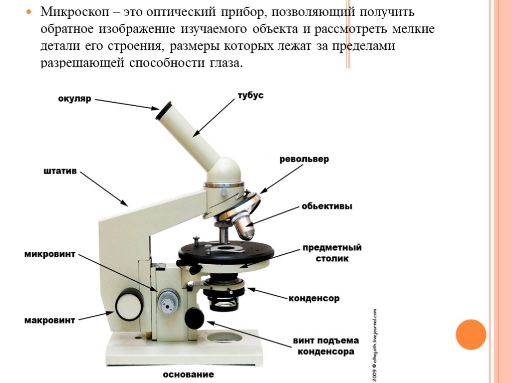 Строение микроскопа и функции его частей. Оптический микроскоп строение. Световой микроскоп микробиология строение. Монокулярный микроскоп строение. Световой микроскоп строение макровинт.