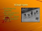 Шорт-трек. 6 комплектов медалей Бег на коньках в хоккейной коробке 30x60 Длина дорожки 111,2 м