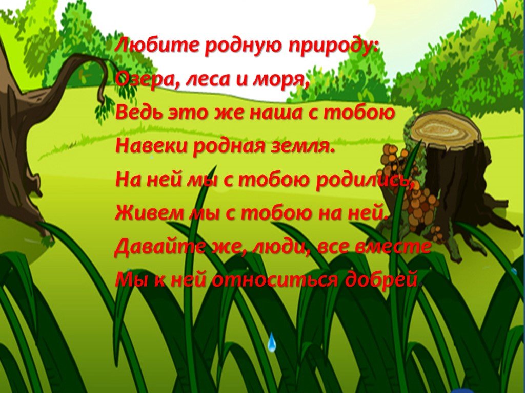 4 класс мир глазами. Мир глазами эколога. МПМИР глазами экологами. Проект мир глазами эколога. Тема мир глазами эколога.