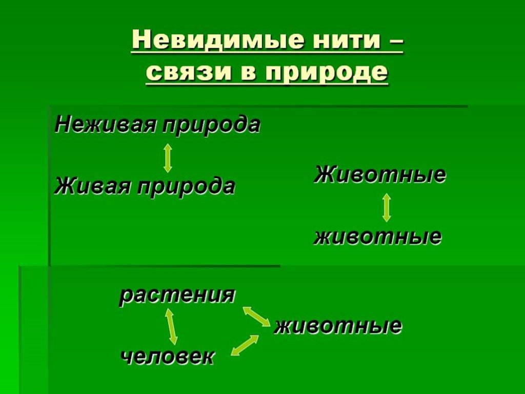 Между растительными и животными. Невидимая нить. Невидимые нити окружающий мир. Невидимые нити человек и природа. Неви димые нитии в приррде.