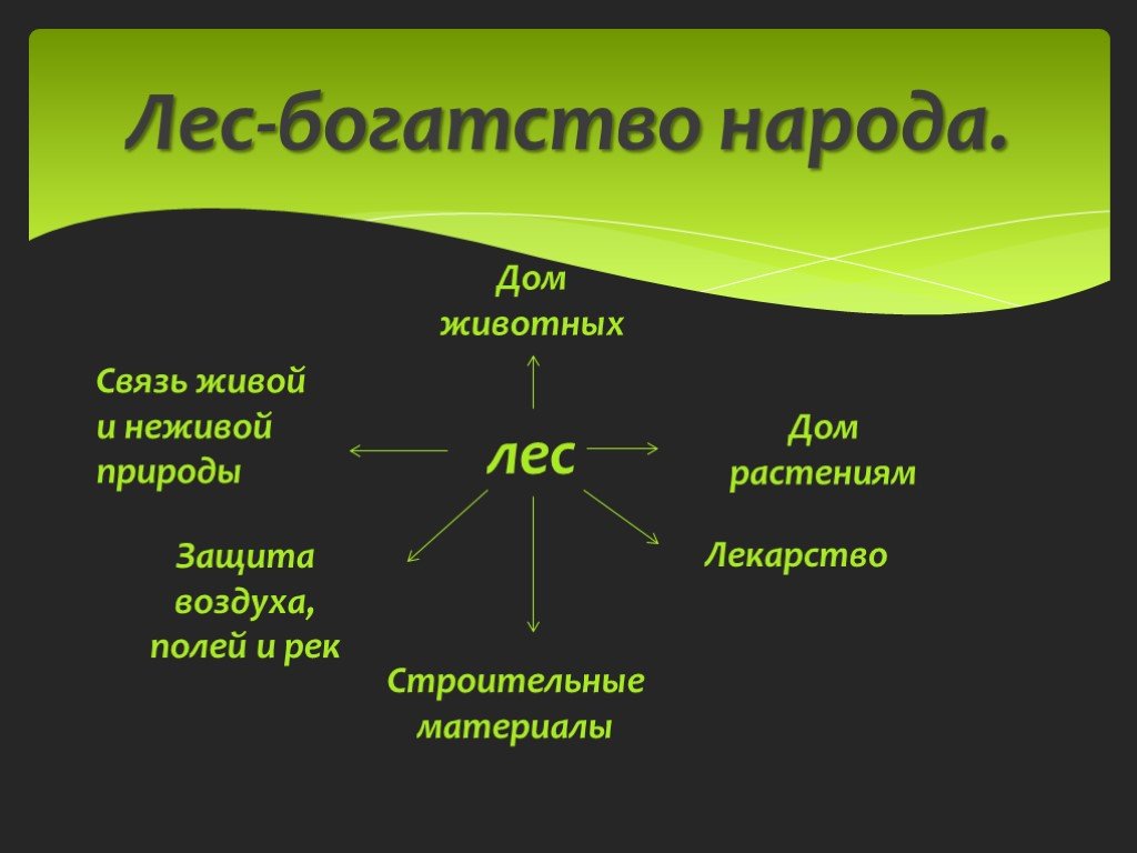 Классы богатства. Лес богатство природы. Богатства леса. Богатство лесов. Мир глазами эколога презентация.