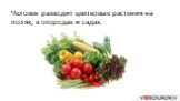 Человек разводит цветковые растения на полях, в огородах и садах.