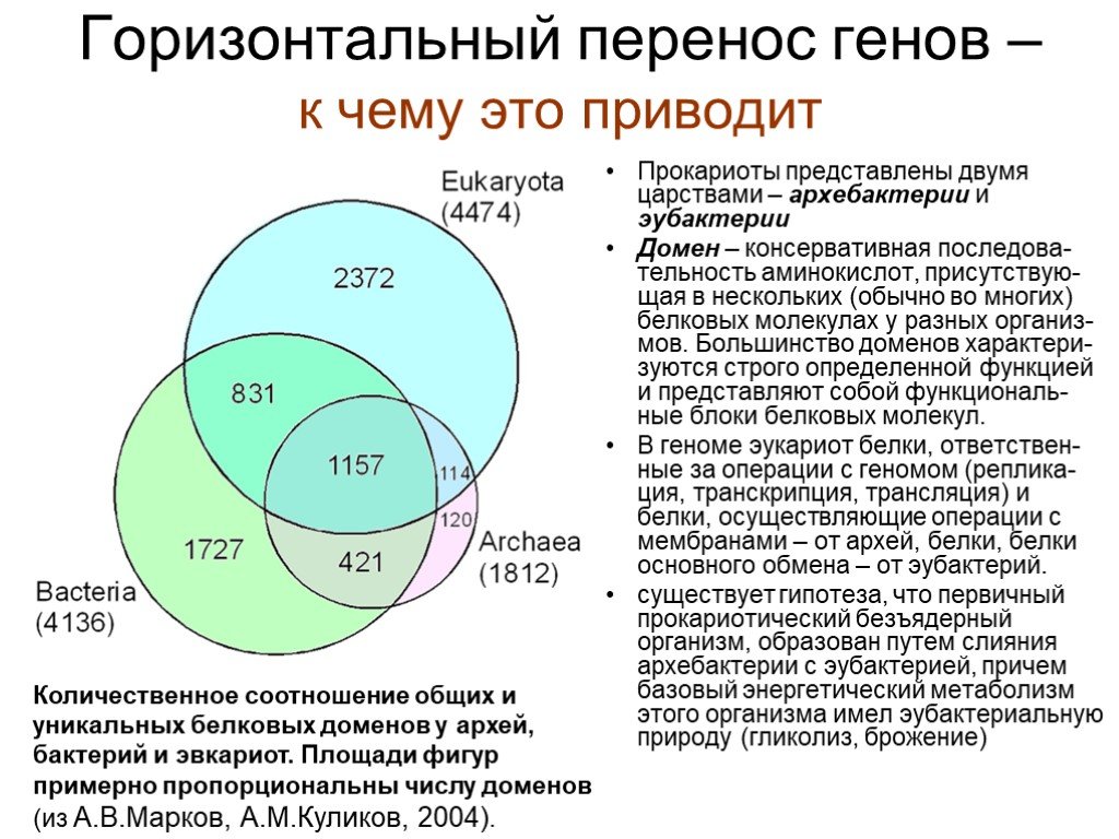 Перенос гена. Горизонтальный перенос генетического материала. Горизонтальный перенос генов у прокариот. Вертикальный перенос генов. Перенос генов у бактерий.