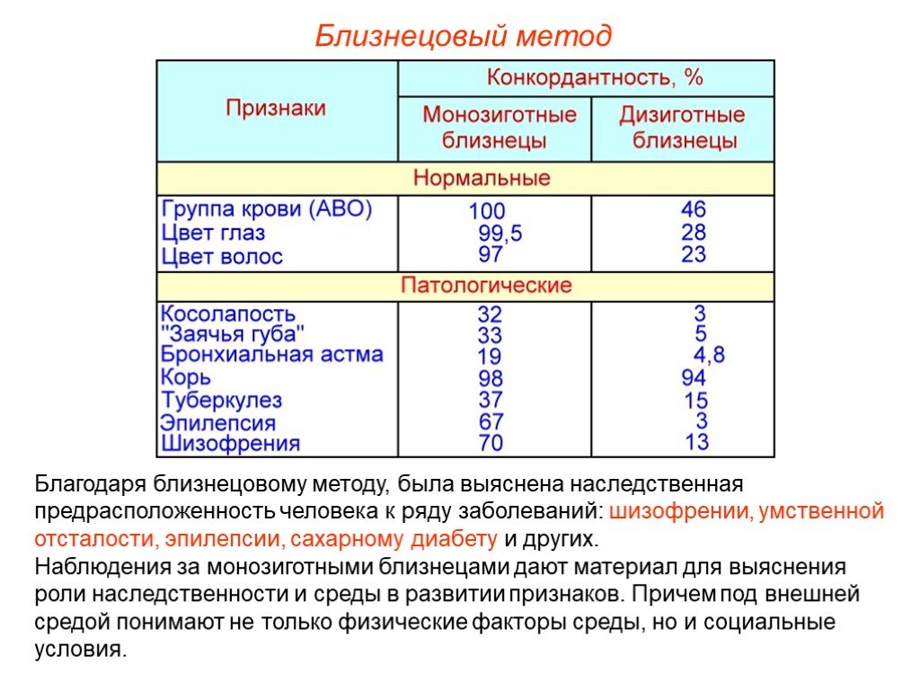 Близнецы проект по биологии