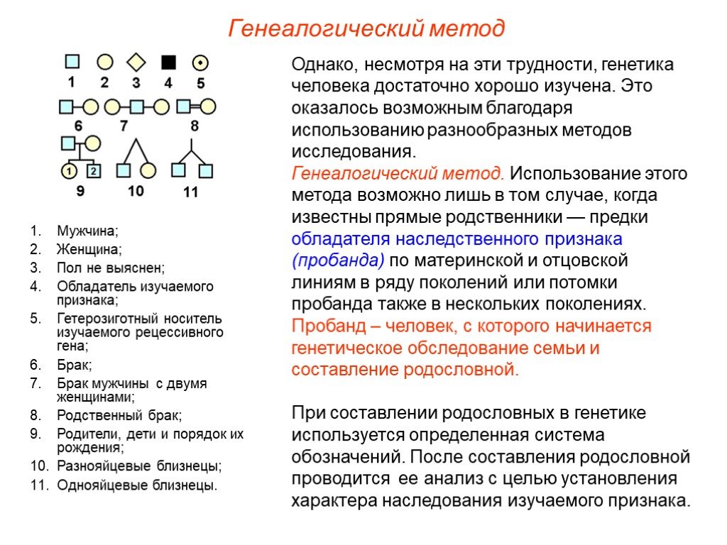 Презентация методы генетики человека 10 класс биология