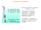 Целый ряд признаков наследуется сцеплено с полом: Х-сцепленное рецессивное наследование — гемофилия, дальтонизм; Х-сцепленное доминантное наследование – темная эмаль зубов. У-сцепленное — гипертрихоз (повышенное оволосение ушной раковины), перепонки между пальцами.