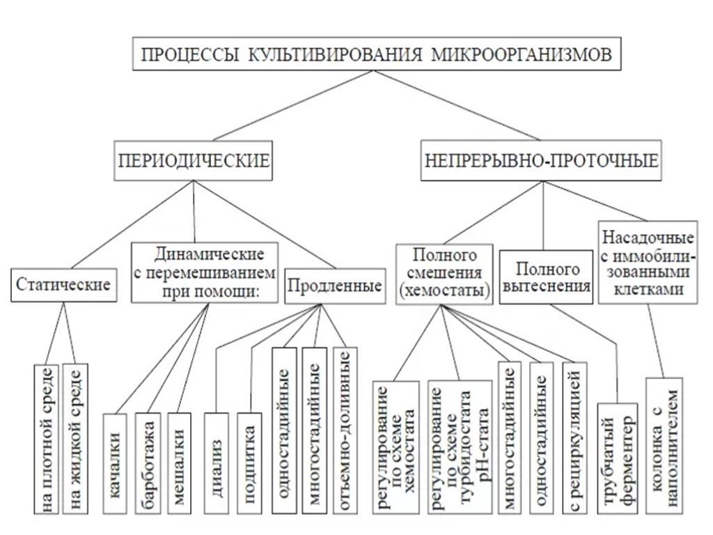 Культивирования микроорганизмов презентация